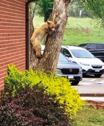 Unexpected Guest at Beulah School Makes the Day Extra Special