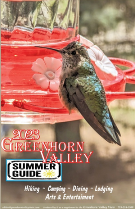 2023 Summer Guide