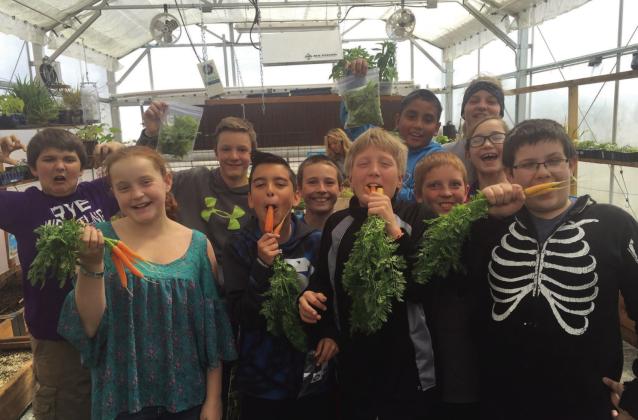 Rye Elementary students enjoy raising and harvesting their own vegetables in Harlie's Greenhouse. Courtesy Photo