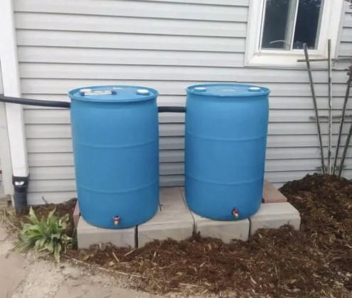 How to Make the Most of Your Landscape Water