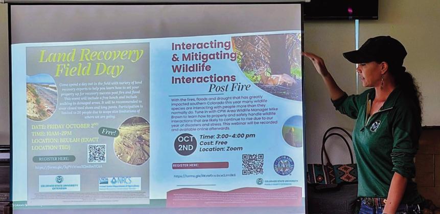 Beth Hayes, Agricultural and Natural Resource Coordinator for the Pueblo County Colorado State University Extension office, was the speaker at a recent Lunch and Learn at the Volunteers for Community gathering. Photo by Shirley Pigg