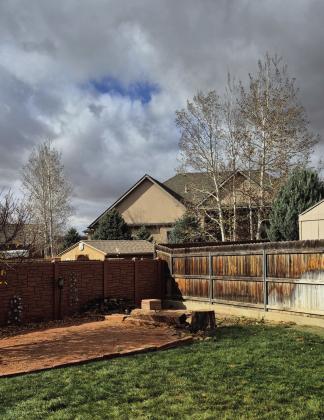 Trees of Life Tree Service No Fly by Night
