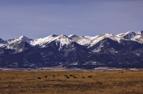 2023 Year in Review - First Quarter - Best Photo, Westcliffe, Colorado by Deb Straub Photo courtesy of Deb Straub