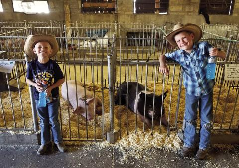 Courtesy Photo Numerous Greenhorn Valley Kickers 4H members competed in the Pueblo County Fair, including Wyatt Scheid (R) and his brother Chase.