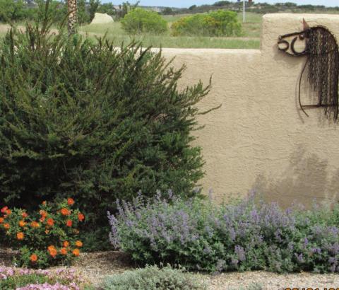 Lower Landscape Water Usage