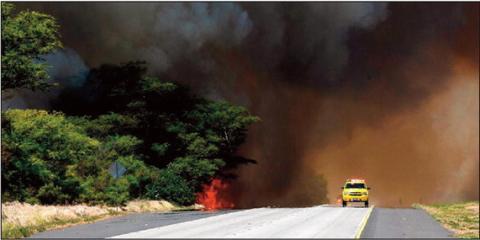 Maui Wildfire, to date, has claimed 115 lives and 400-1,100 people are still missing. Courtesy Photo
