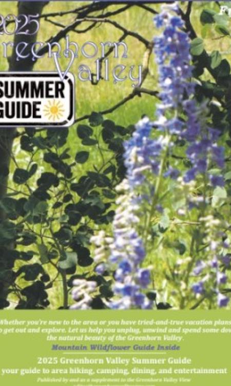 Summer Guide 2025