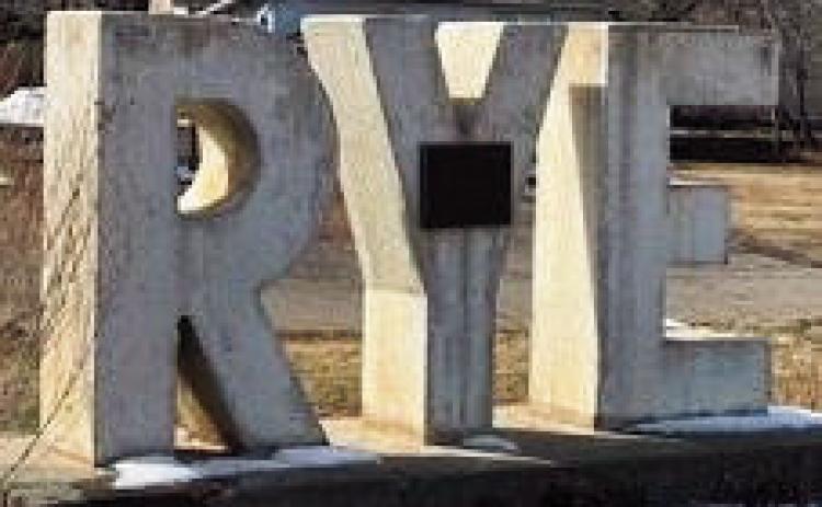 Alt Text for Image