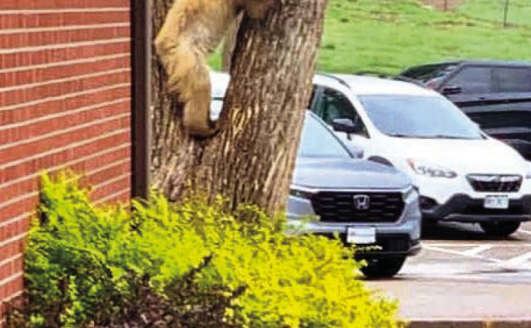 Unexpected Guest at Beulah School Makes the Day Extra Special
