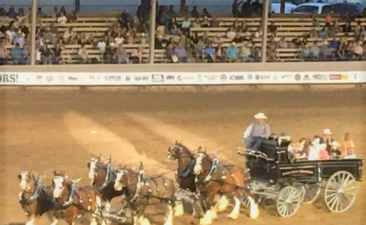 co state fair
