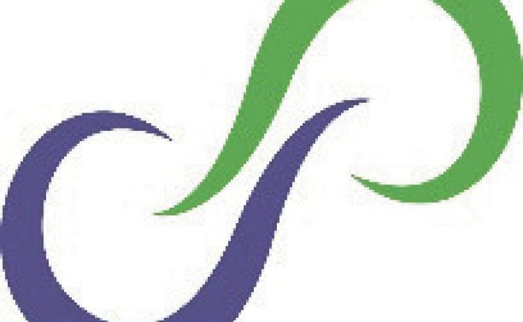 Alt Text for Image