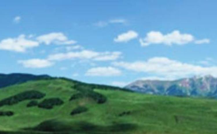 Alt Text for Image