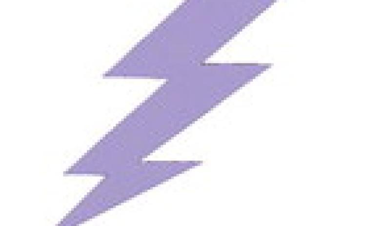 Alt Text for Image