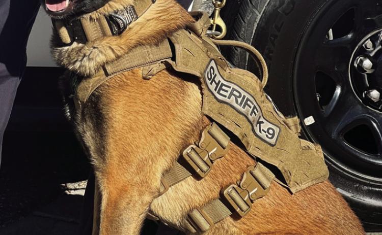 Pueblo County Sheriff’s K9 Zeus and deputies arrest three in Rye. Photo courtesy of PCSO