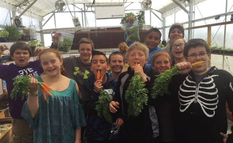 Rye Elementary students enjoy raising and harvesting their own vegetables in Harlie's Greenhouse. Courtesy Photo
