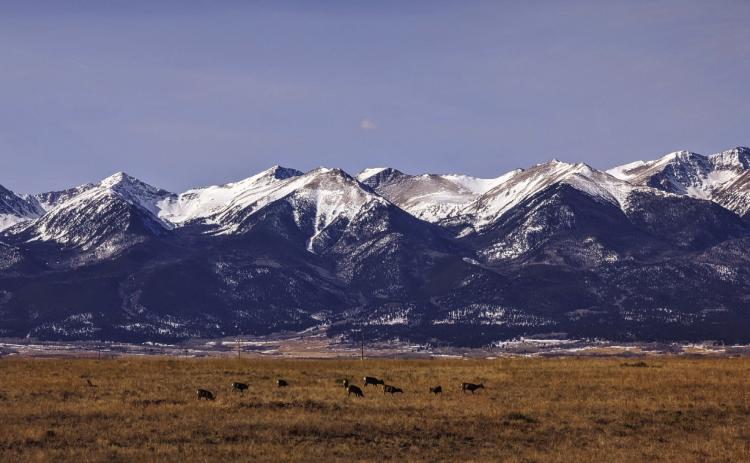 2023 Year in Review - First Quarter - Best Photo, Westcliffe, Colorado by Deb Straub Photo courtesy of Deb Straub