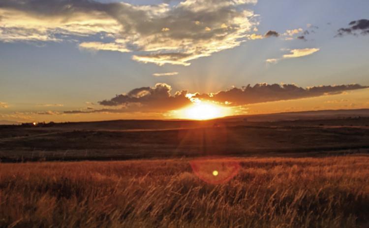 The U.S. (except for one state and most of another) will again be setting its clocks back on Sunday, November 3. We’ll remain under Standard Time until March 9, 2025 Photo by Lori Kraus