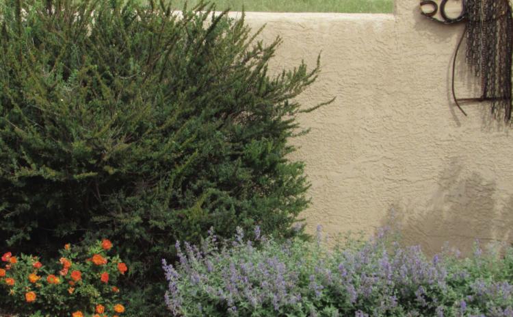 Lower Landscape Water Usage