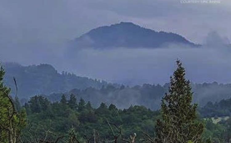Oak Ridge Fire May Burn until July 24