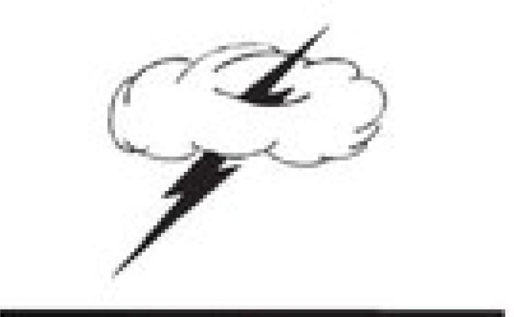 Eight Thunderbolt Runners Will go to Cross Country State Meet