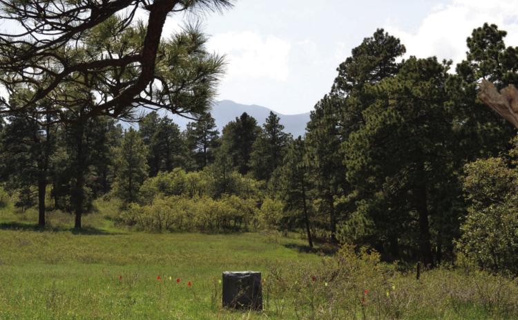 Hardin Cemetery Remains Courtesy Image