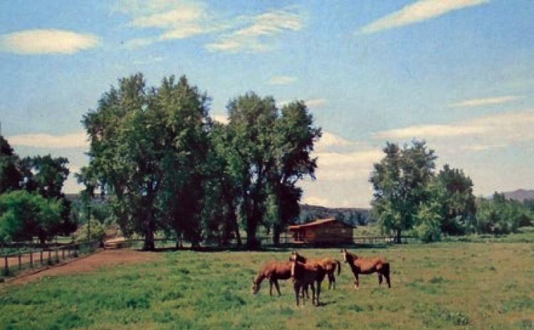 Duell Stewart Thoroughbred Ranch Courtesy Photo