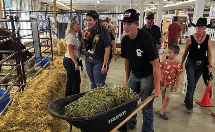 Kolby Clennin is hard at work at the Colorado State Fair Children's Barnyard as part of the Rye High School FFA Chapter Courtesy Photo