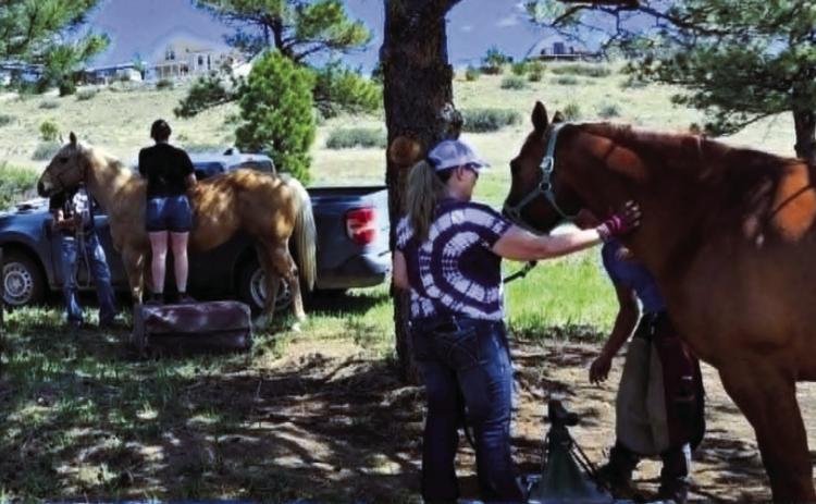 RCC Saddle Club hosted a convenient clinic with several equine services available right at the RCC Arena. Photo by Shirley Pigg