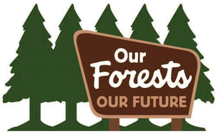 Wildfires Peaceful this Week