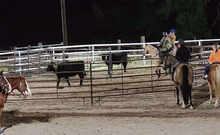 RCC Saddle Club to Host One More Team Sorting
