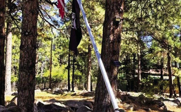 High Wind Gusts Cause Havoc in Woodland Acres