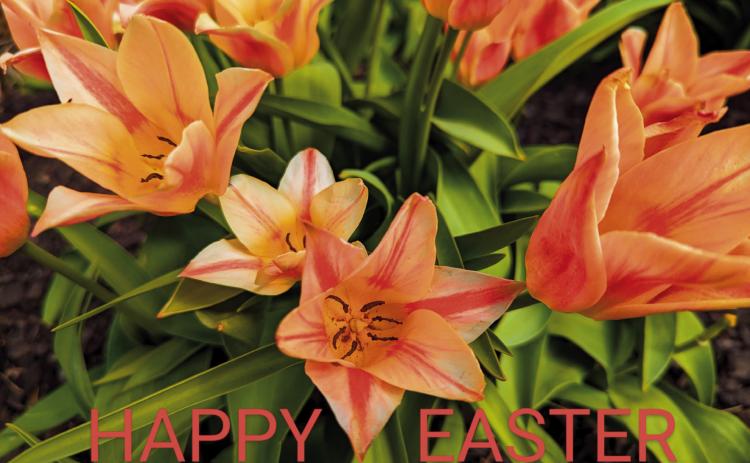 Don’t miss a Sangre de Cristo VFC Hoppy Easter at Greenhorn Meadows Park this weekend. Details on p. 4. Photo Courtesy of Deb Straub