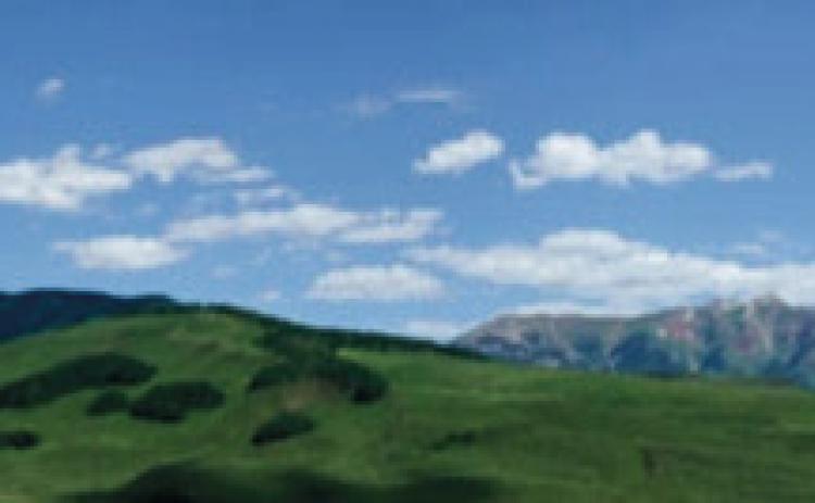Water Restrictions Moved to Stage 4