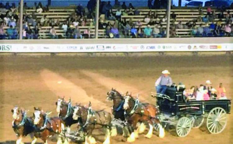 BEST PHOTOGRAPH - 2022 Third Quarter Review, by Shirley Pigg. The 2022 Colorado State Fair team and wagon. Photo by Shirley PIgg