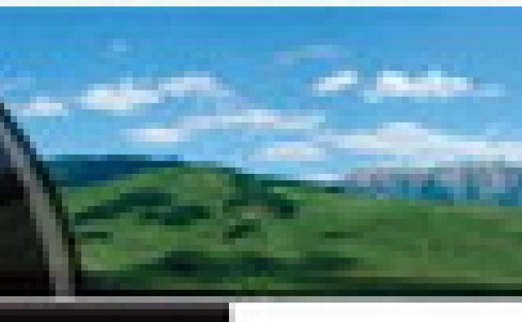 Alt Text for Image