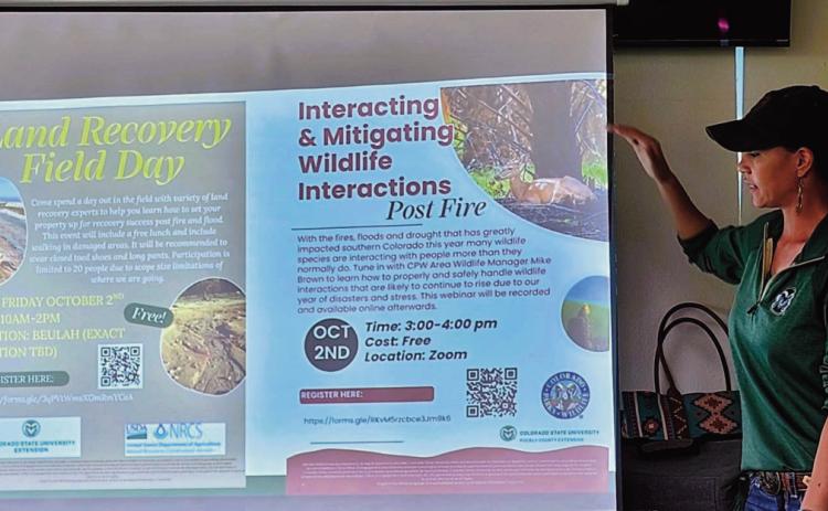 Beth Hayes, Agricultural and Natural Resource Coordinator for the Pueblo County Colorado State University Extension office, was the speaker at a recent Lunch and Learn at the Volunteers for Community gathering. Photo by Shirley Pigg