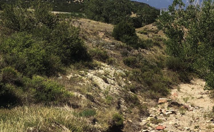 Scroggs Arroyo Courtesy Image