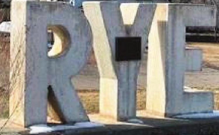 Citizen Questions Rate Increase at Rye Town Council Meeting