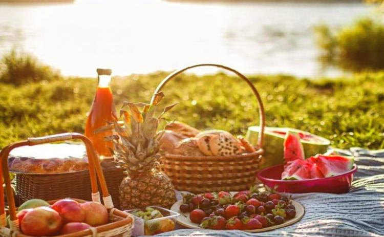 Picnic Checklist - 47 Must-Bring Essentials